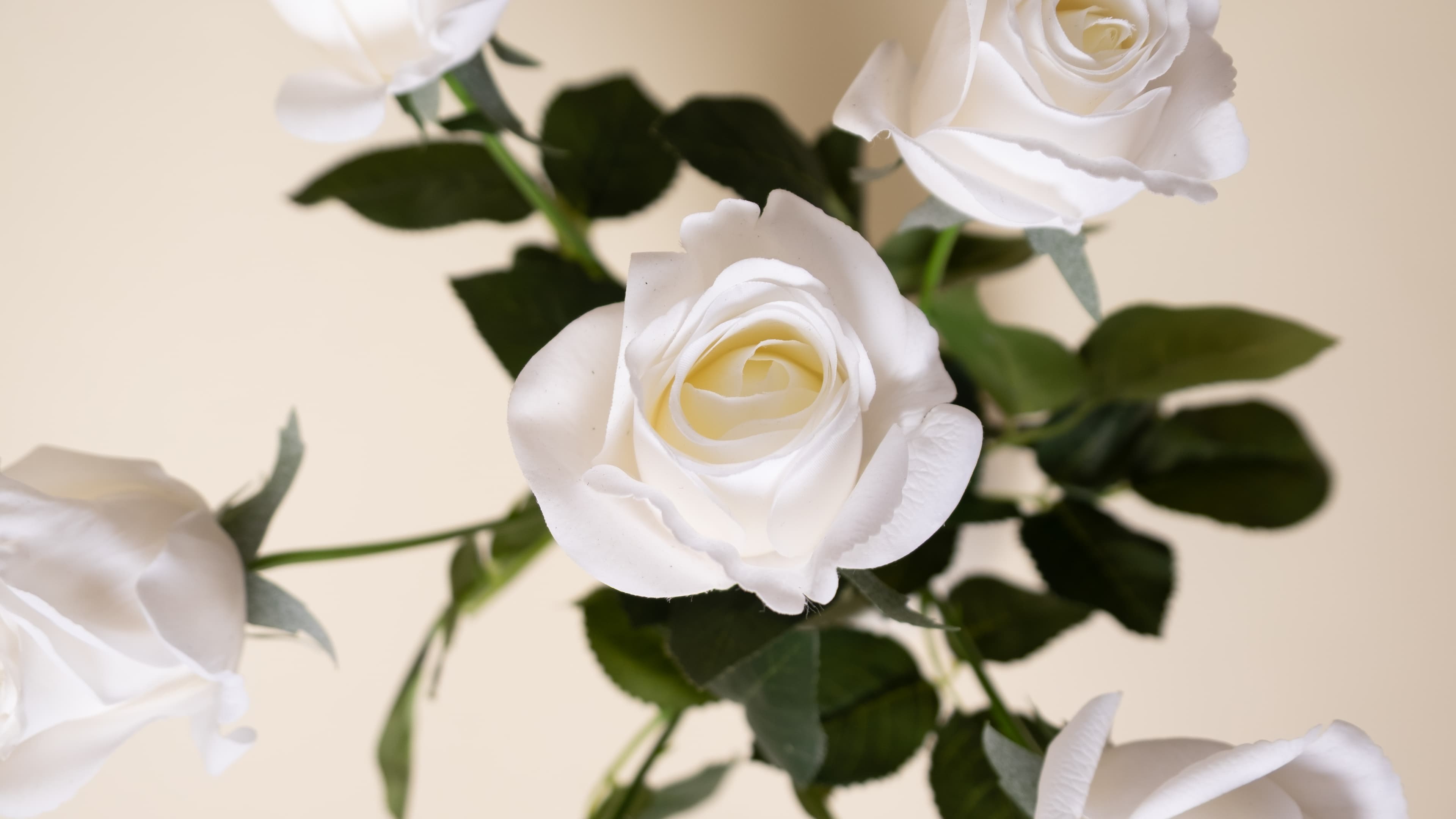 An Atelier Bloem forever floral arrangement, kept for years