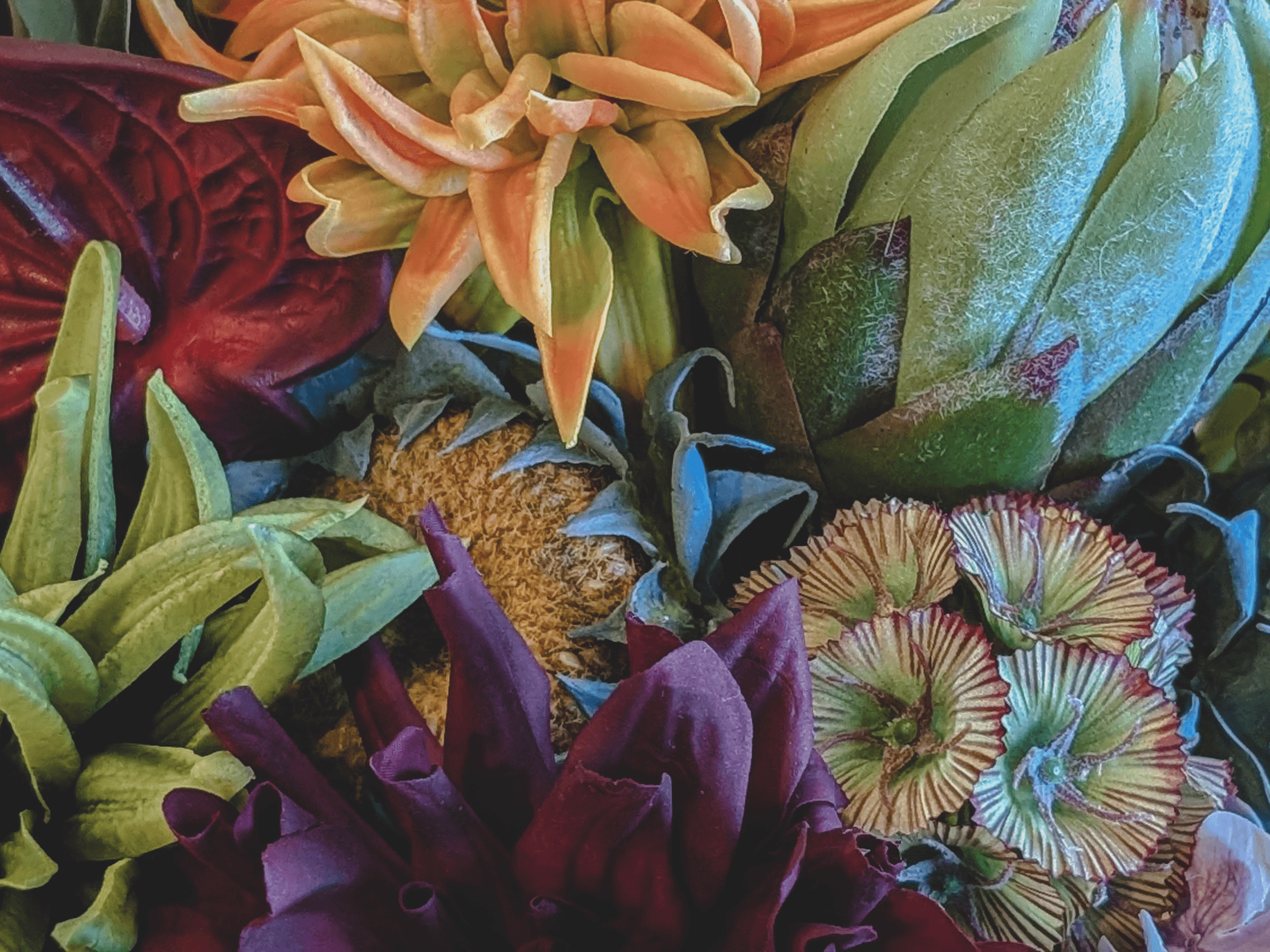 DESIGN MEETS ENDURING BEAUTY